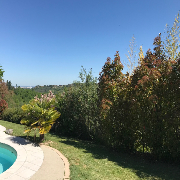 Offres de vente Villa Vieille-Toulouse 31320