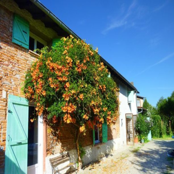 Offres de vente Maison Lacroix-Falgarde 31120