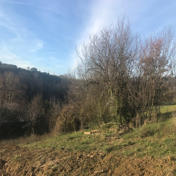Offres de vente Terrain Vigoulet-Auzil 31320